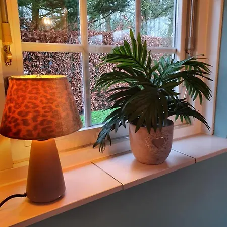 Vakantiehuis Lekker Plekje Achterhoek Lievelde