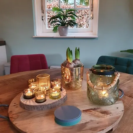 Lekker Plekje Achterhoek Dom wakacyjny Lievelde