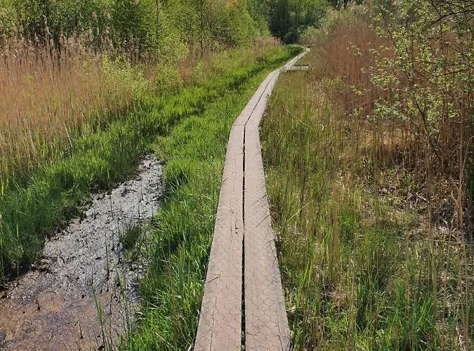 Σπίτι διακοπών Lekker Plekje Achterhoek *